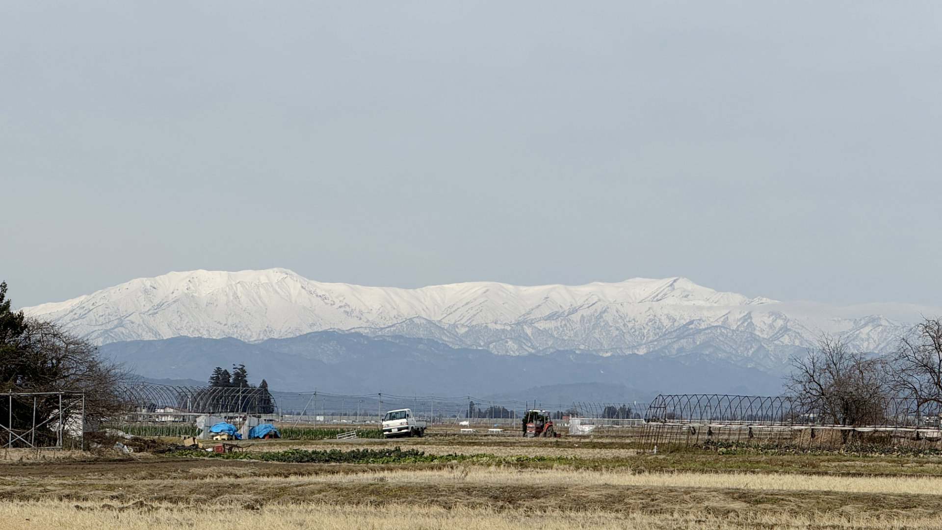 Harvesting More Than Crops: Life on a Japanese Farm