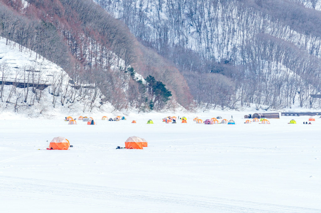Hoshino Resorts NEKOMA Mountain